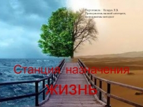Презентация воспитательного часа Станция назначения - жизнь