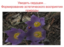 Презентация к статье Увидеть сердцем