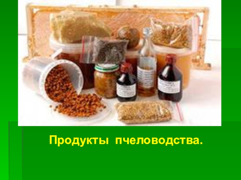 Проект по биологии с продуктом