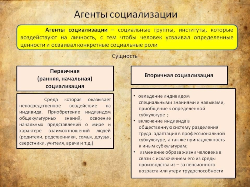 План социализация личности егэ обществознание