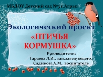 Экологический проект Птичья кормушка