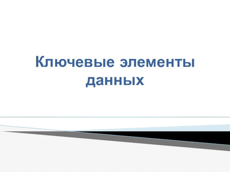 Презентация Ключевые элементы данных