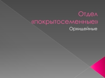 Презентация по биологии на тему Орхидейные