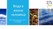 Презентация Вода в жизни человека