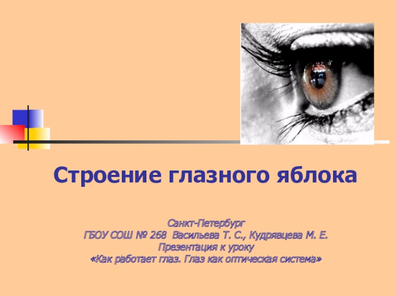 Презентация Строение глазного яблока 8 класс