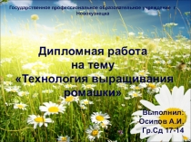 Презентация к уроку по ботанике