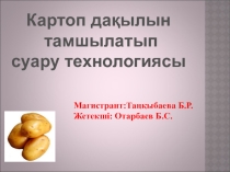 Картоп дақылын тамшылатып суғару технологиясы