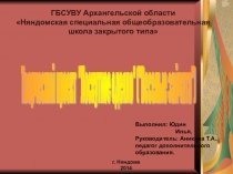 Презентация по дополнительному образованию Аникиной Татьяны АлександровныТворческий пректЛоскутное шитьё