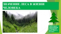 Презентация к классному часу Значение леса