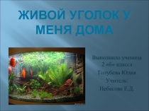 Презентация по предмету Окружающий мир Живой уголок у меня дома