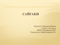 Презентация по окружающему миру сайгаки
