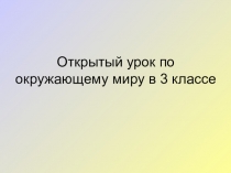 Презентация по окружающему миру на тему: Разнообразие животных