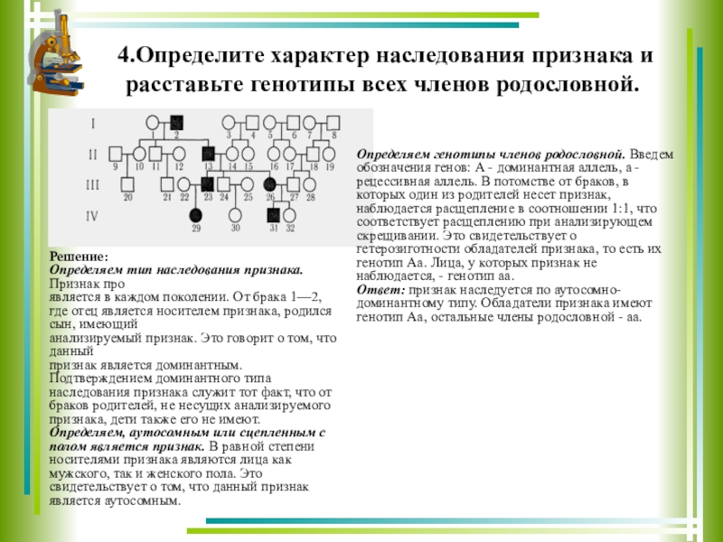 Изучите схему и определите тип наследования признака поясните определите генотипы 1234