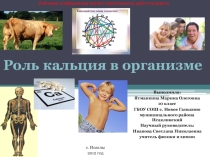Презентация по химии Роль кальция в организме