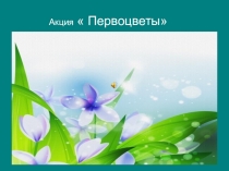 Презентация к акции на тему Первоцветы