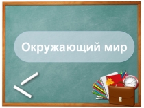 Презентация по окружающему миру на тему Что такое экономика? (2 класс)