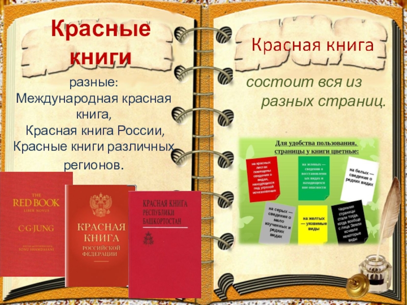 Первая красная книга фото