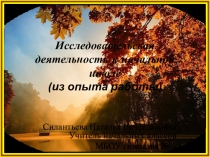 Презентация.Исследовательская деятельность в начальной школе(из опыта работы)