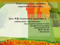 Презентация по обществознанию (профильный уровень) Социальная структура и социальные отношения