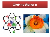 Презентація до позакласного заходу Хімічна біологія (9 клас)
