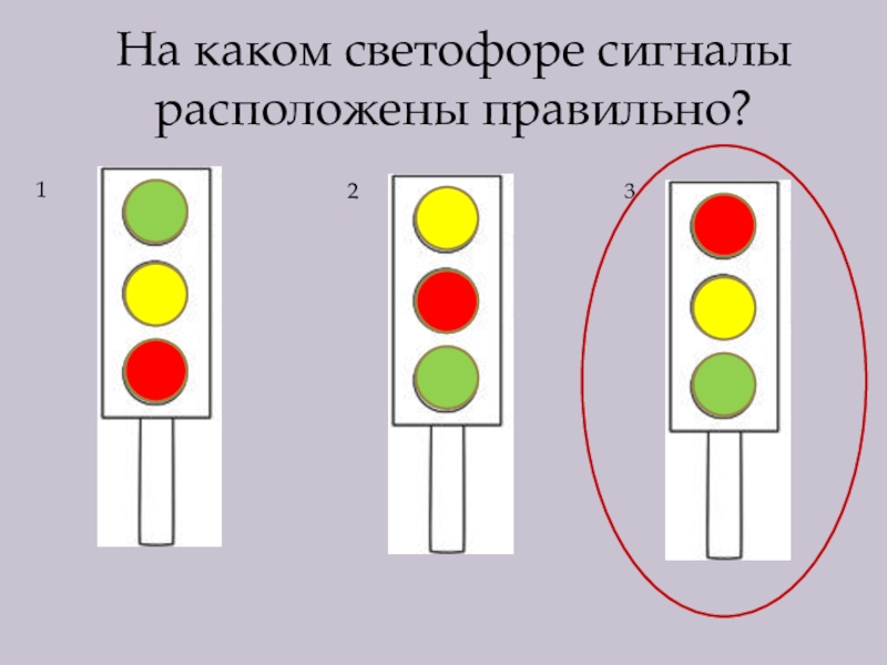 Знаток схема светофор