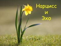 Презентация к уроку Нарцисс и Эхо
