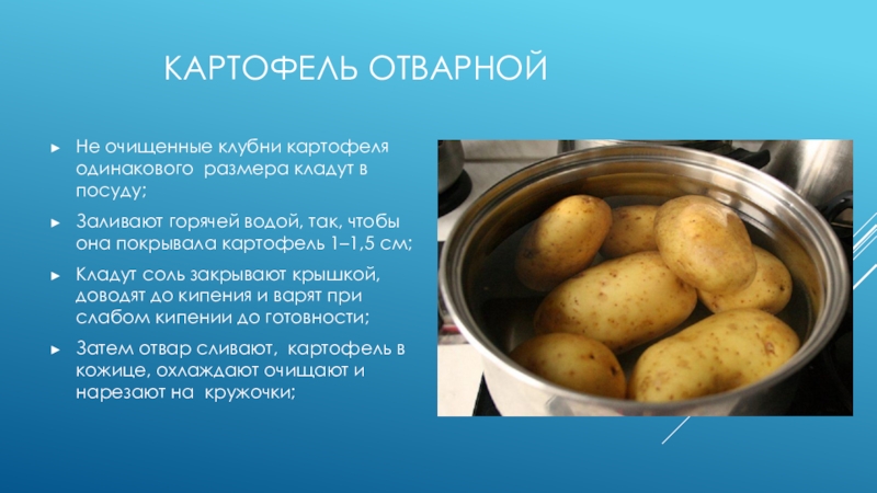 Картофель отварнойНе очищенные клубни картофеля одинакового размера кладут в посуду;Заливают горячей водой, так, чтобы она покрывала картофель