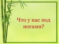 Презентация по окружающему миру