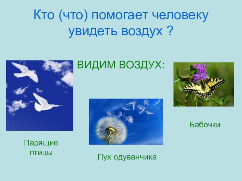 Видимый воздух. Как увидеть воздух. Исследовательская работа как увидеть воздух. Как мы видим воздух.