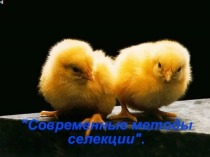 Презентация Современные методы селекции