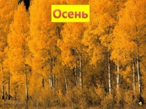 Презентация к уроку окружающего мира по теме Осень. Природа готовится к зиме 1 класс