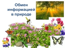 Презентация по информатике на тему В мире кодов