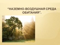 Наземно - воздушная среда обитания