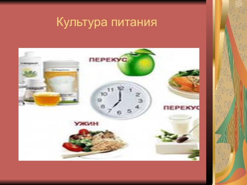 Культура питания проект