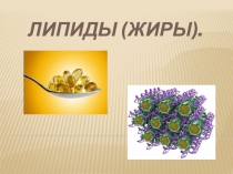 Презентация Липиды(жиры), 9 класс