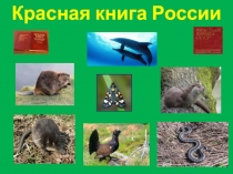 Презентация по окружающему миру на тему Красная книга России (2 класс)