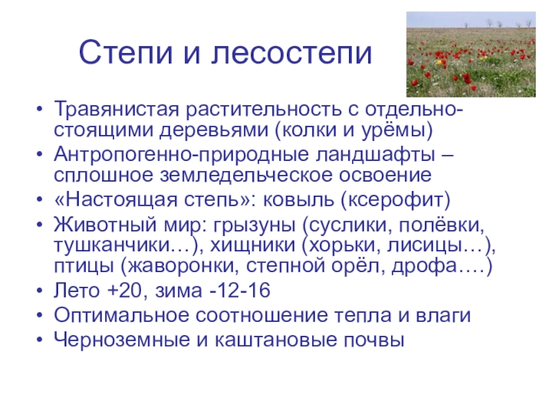 Природные особенности лесостепи и степи. Растительный мир лесостепи в России. Зона лесостепей растительность. Растения степей и лесостепей России. Лесо стпеи и СТПЕ растительность.