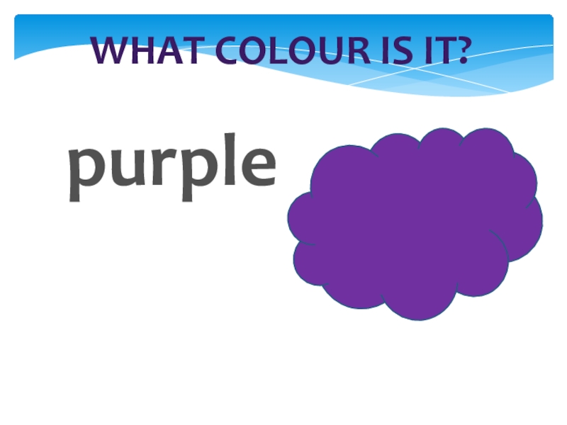 What colour is it?purple