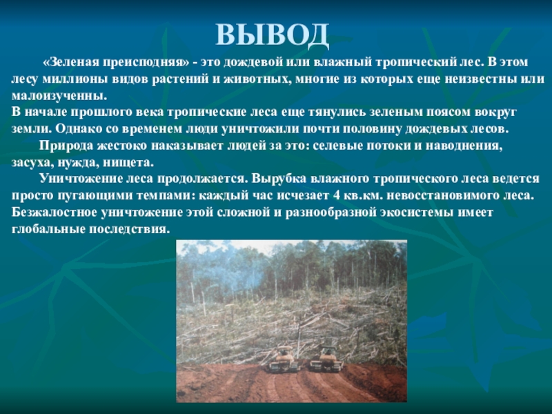 Вывел леса. Решение проблемы исчезновения тропических лесов. Вывод влажных. Тропических лесов. Вывод в влажных тропических лесах. Вывод о зелёных поясов.