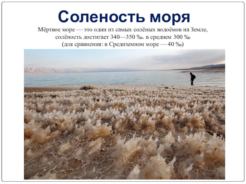 Какие воды самые соленые. Соленость морей Мертвое море. Уровень солености мертвого моря. Мёртвое море солёность воды. Глубина мертвого моря максимальная.