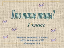 Презентация по окружающему миру на тему Кто такие птицы?