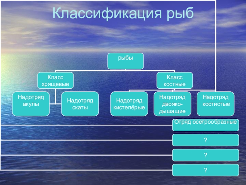 Дополните схему классификации рыб по температуре в толще мышц