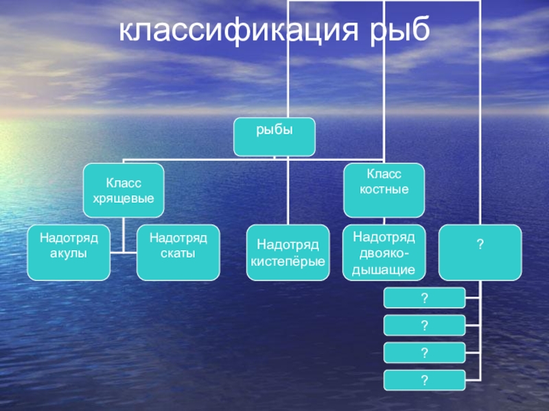 Дополните схему классификации рыб по температуре в толще мышц