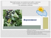 Районный конкурс исследовательских работ и проектов детей младшего и среднего школьного возраста  За страницами учебника Презентация Вороняжка