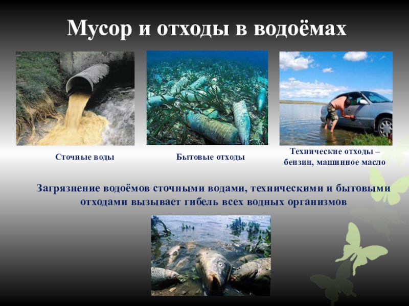 Экология воды проект