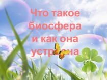 Презентация по географии на тему Биосфера (6 класс)