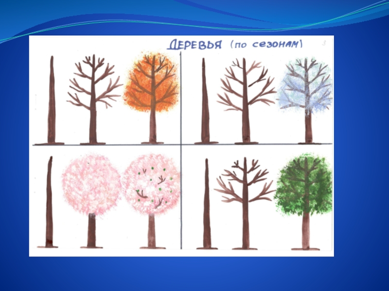 Предметное рисование. Предметное рисование в детском саду. Предметное рисование в ДОУ. Алгоритм рисования дерева в средней группе. Рисование дерева для младшего возраста-.