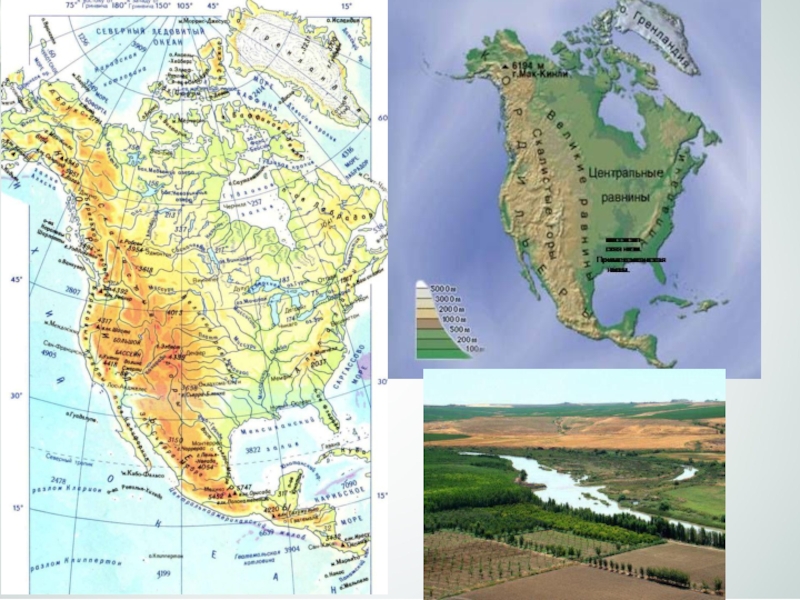 На каком материке находятся великие равнины. Центральные равнины Северной Америки на карте. Миссисипская низменность на карте Северной Америки. Центральная низменность на карте Северной Америки. Примексиканская низменность на карте Северной Америки.