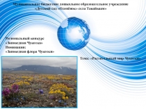 Презентация в старшей разновозрастной группе на тему Заповедная Чукотка