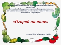 Огород на окне в детском саду